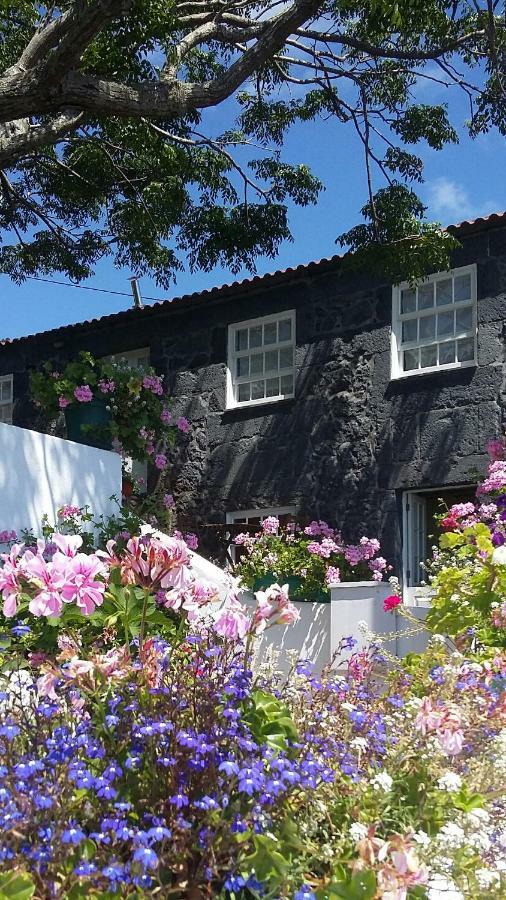 Casa Do Ze - Al Guest House Manadas Exterior photo